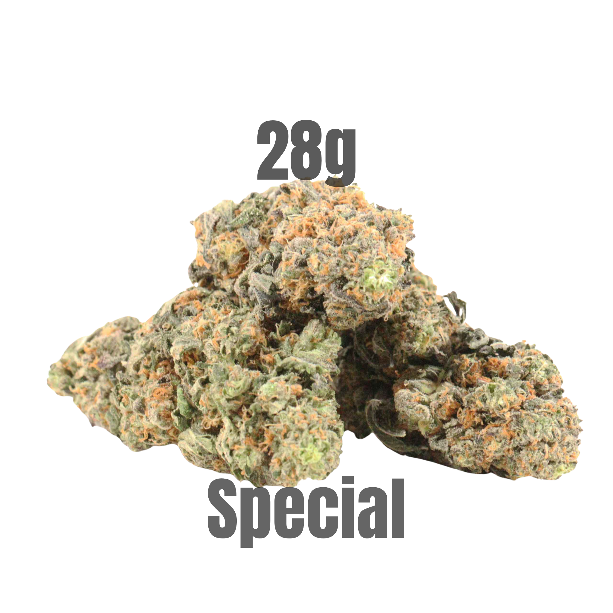 Yoda OG 28G Special