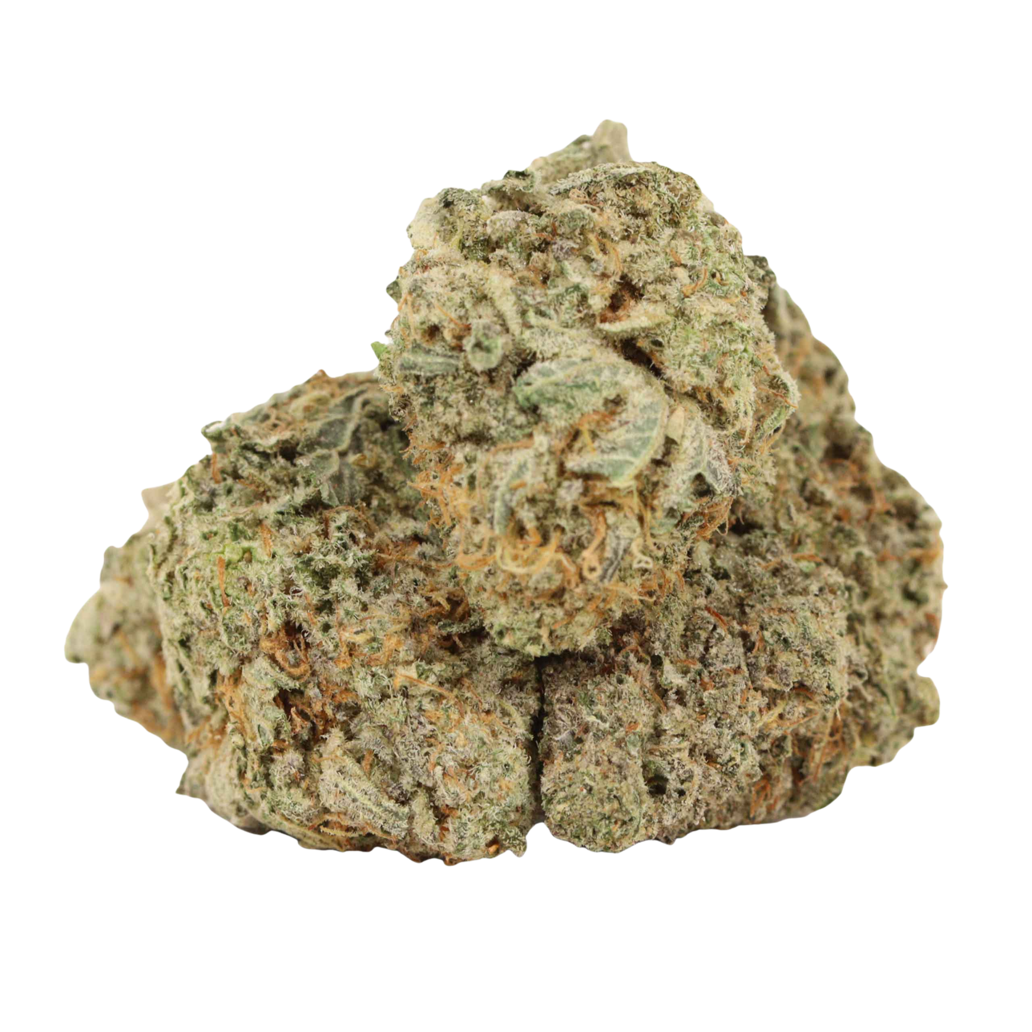 White Widow
