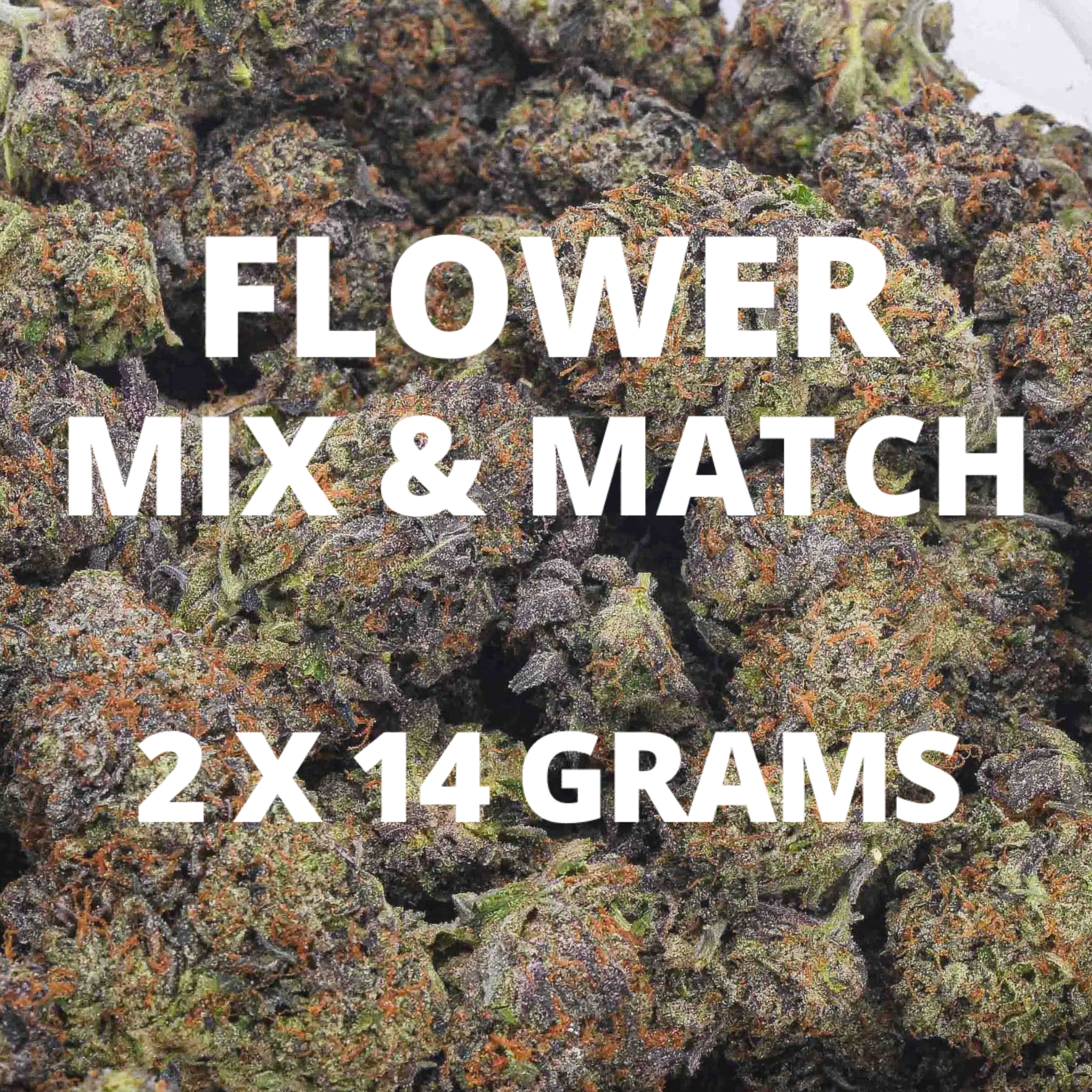 (2 x 14 Grams)